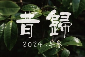 2024 석귀(昔归) 청병 200g : 판매완료